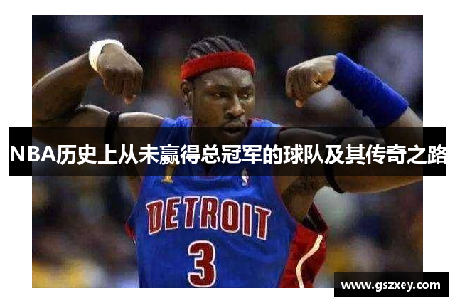 NBA历史上从未赢得总冠军的球队及其传奇之路