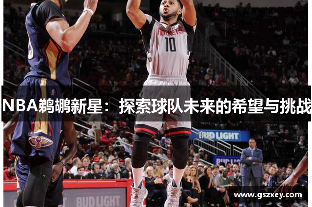 NBA鹈鹕新星：探索球队未来的希望与挑战