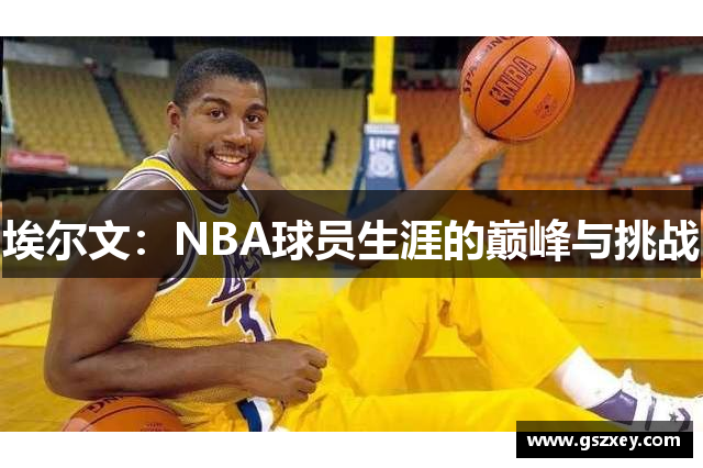 埃尔文：NBA球员生涯的巅峰与挑战